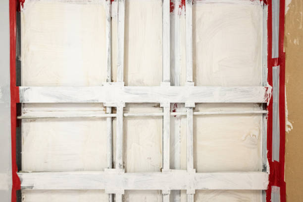 Professional Mold Removal in Brandenburg, KY