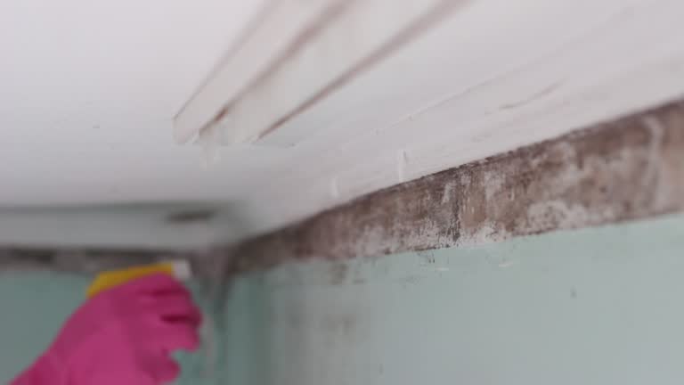 Forensic Mold Investigation in Brandenburg, KY